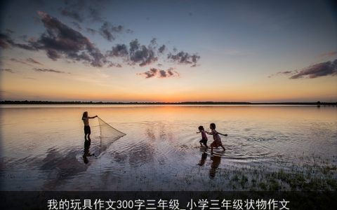 我的玩具作文300字三年级_小学三年级状物作文
