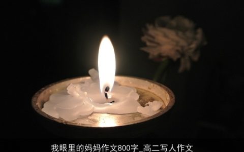 我眼里的妈妈作文800字_高二写人作文