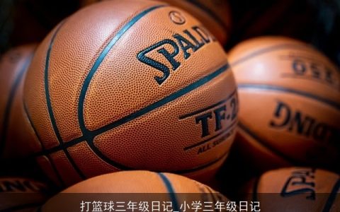 打篮球三年级日记_小学三年级日记