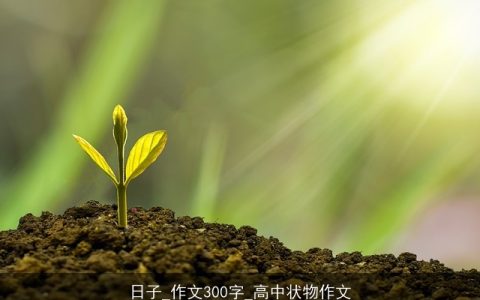 日子_作文300字_高中状物作文