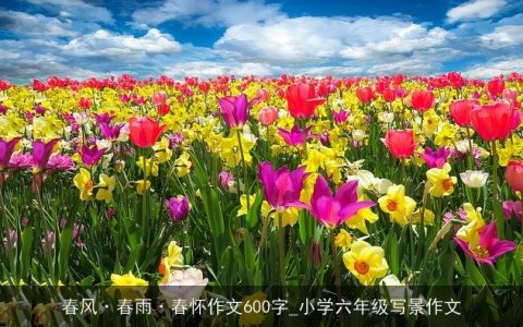春风·春雨·春怀作文600字_小学六年级写景作文