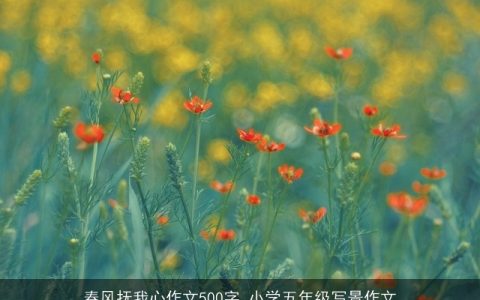 春风抚我心作文500字_小学五年级写景作文