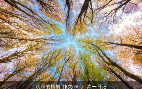 晚秋的梧桐_作文550字_高一日记