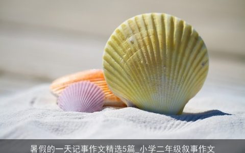 暑假的一天记事作文精选5篇_小学二年级叙事作文