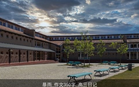 暴雨_作文350字_高三日记