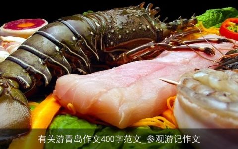 有关游青岛作文400字范文_参观游记作文