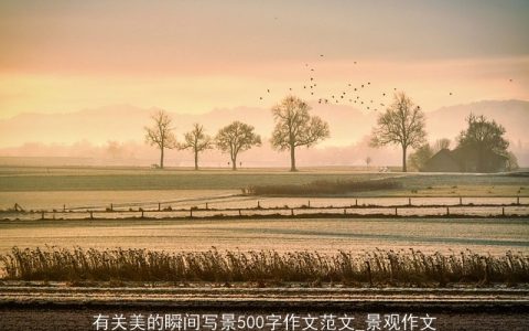 有关美的瞬间写景500字作文范文_景观作文