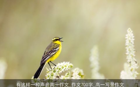 有这样一种声音高一作文_作文700字_高一写景作文