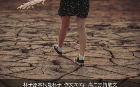 杯子原本只是杯子_作文700字_高二抒情散文