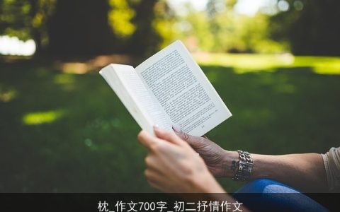 枕_作文700字_初二抒情作文