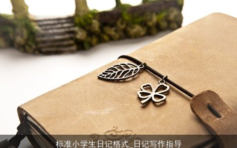 标准小学生日记格式_日记写作指导