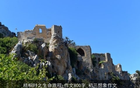 梧桐叶之生命旅程_作文800字_初三想象作文