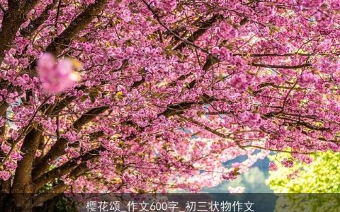 樱花颂_作文600字_初三状物作文