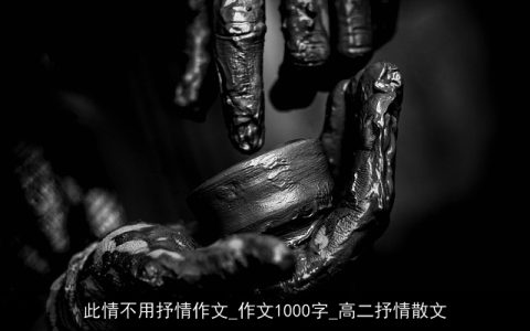 此情不用抒情作文_作文1000字_高二抒情散文