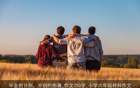 毕业的分别，分别的伤痛_作文250字_小学六年级材料作文