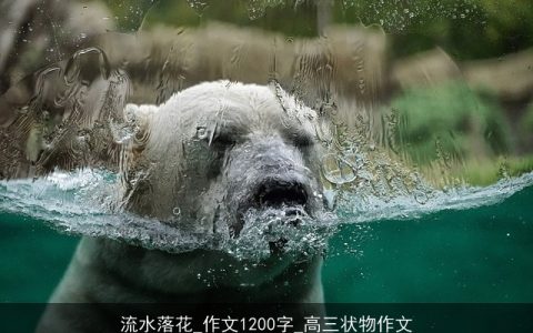 流水落花_作文1200字_高三状物作文
