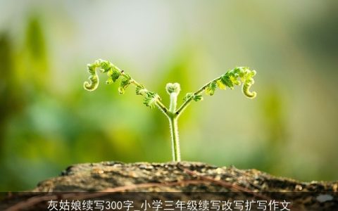 灰姑娘续写300字_小学三年级续写改写扩写作文