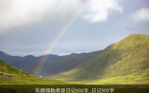 灰腾锡勒草原日记500字_日记500字