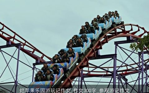 烂苹果乐园游玩记作文_作文300字_参观游记作文