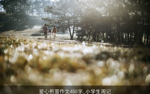 爱心煎蛋作文450字_小学生周记