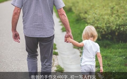 爸爸的手作文600字_初一写人作文