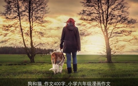 狗和猫_作文400字_小学六年级漫画作文