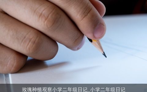 玫瑰种植观察小学二年级日记_小学二年级日记