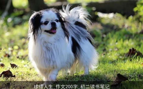 珍惜人生_作文200字_初二读书笔记