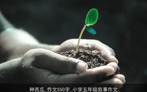 种西瓜_作文550字_小学五年级叙事作文