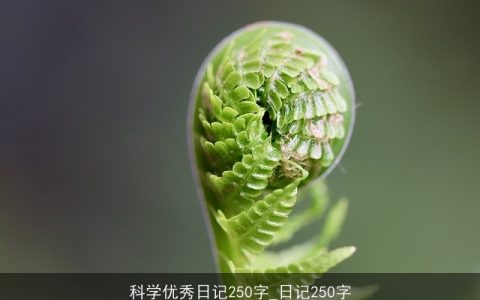 科学优秀日记250字_日记250字