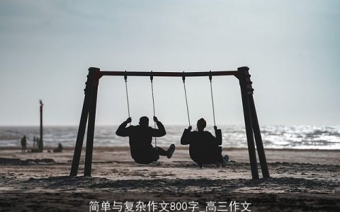 简单与复杂作文800字_高三作文
