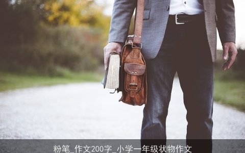 粉笔_作文200字_小学一年级状物作文