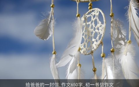 给爸爸的一封信_作文650字_初一书信作文
