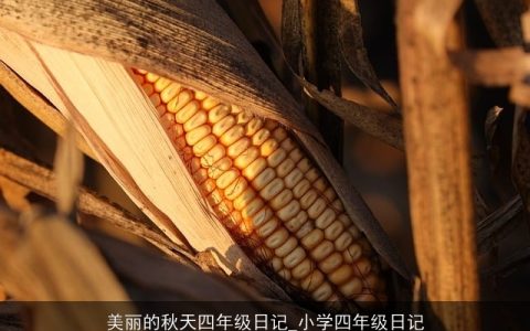 美丽的秋天四年级日记_小学四年级日记