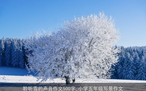 聆听雪的声音作文500字_小学五年级写景作文