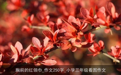 胸前的红领巾_作文250字_小学三年级看图作文
