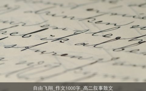 自由飞翔_作文1000字_高二叙事散文