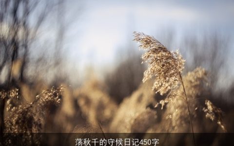 荡秋千的守候日记450字