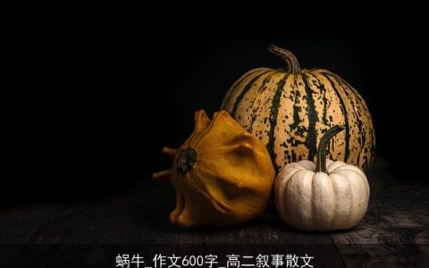 蜗牛_作文600字_高二叙事散文