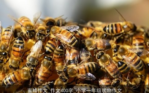 蜜蜂作文_作文400字_小学一年级状物作文