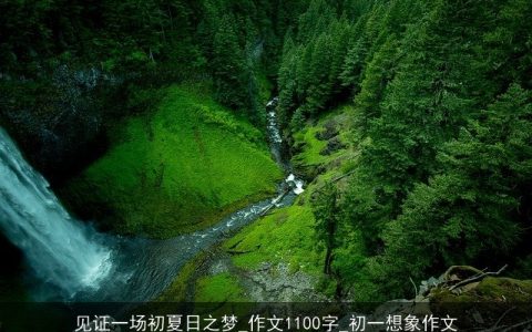 见证一场初夏日之梦_作文1100字_初一想象作文