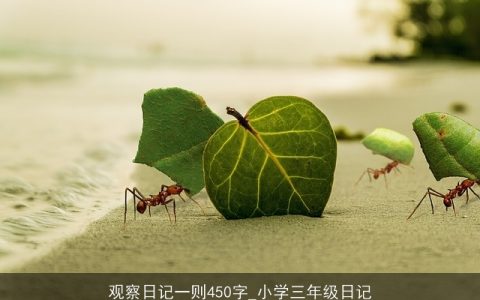 观察日记一则450字_小学三年级日记