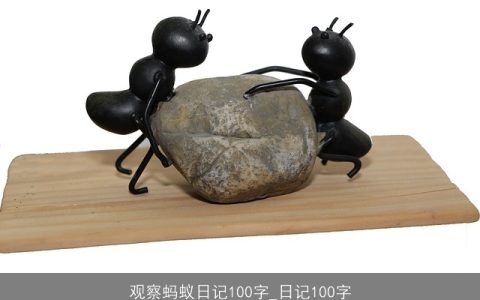 观察蚂蚁日记100字_日记100字