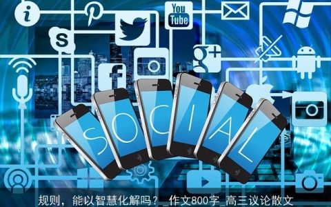 规则，能以智慧化解吗？_作文800字_高三议论散文
