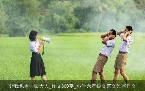 让我也当一回大人_作文800字_小学六年级文言文改写作文