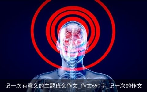 记一次有意义的主题班会作文_作文650字_记一次的作文