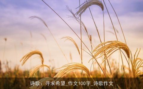 诗歌：寻求希望_作文100字_诗歌作文