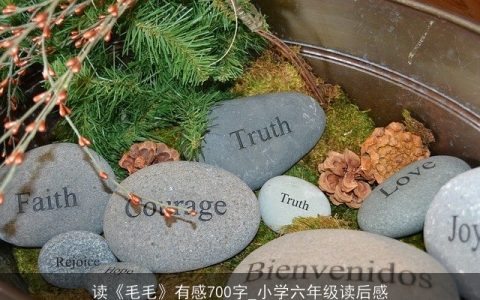 读《毛毛》有感700字_小学六年级读后感