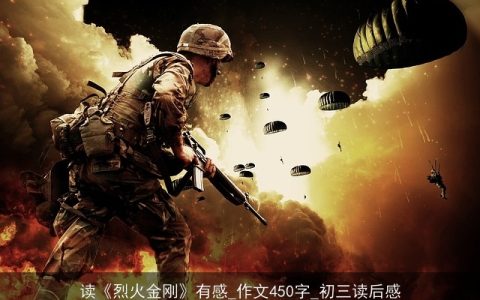 读《烈火金刚》有感_作文450字_初三读后感