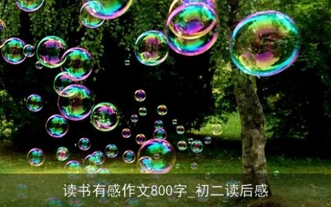 读书有感作文800字_初二读后感